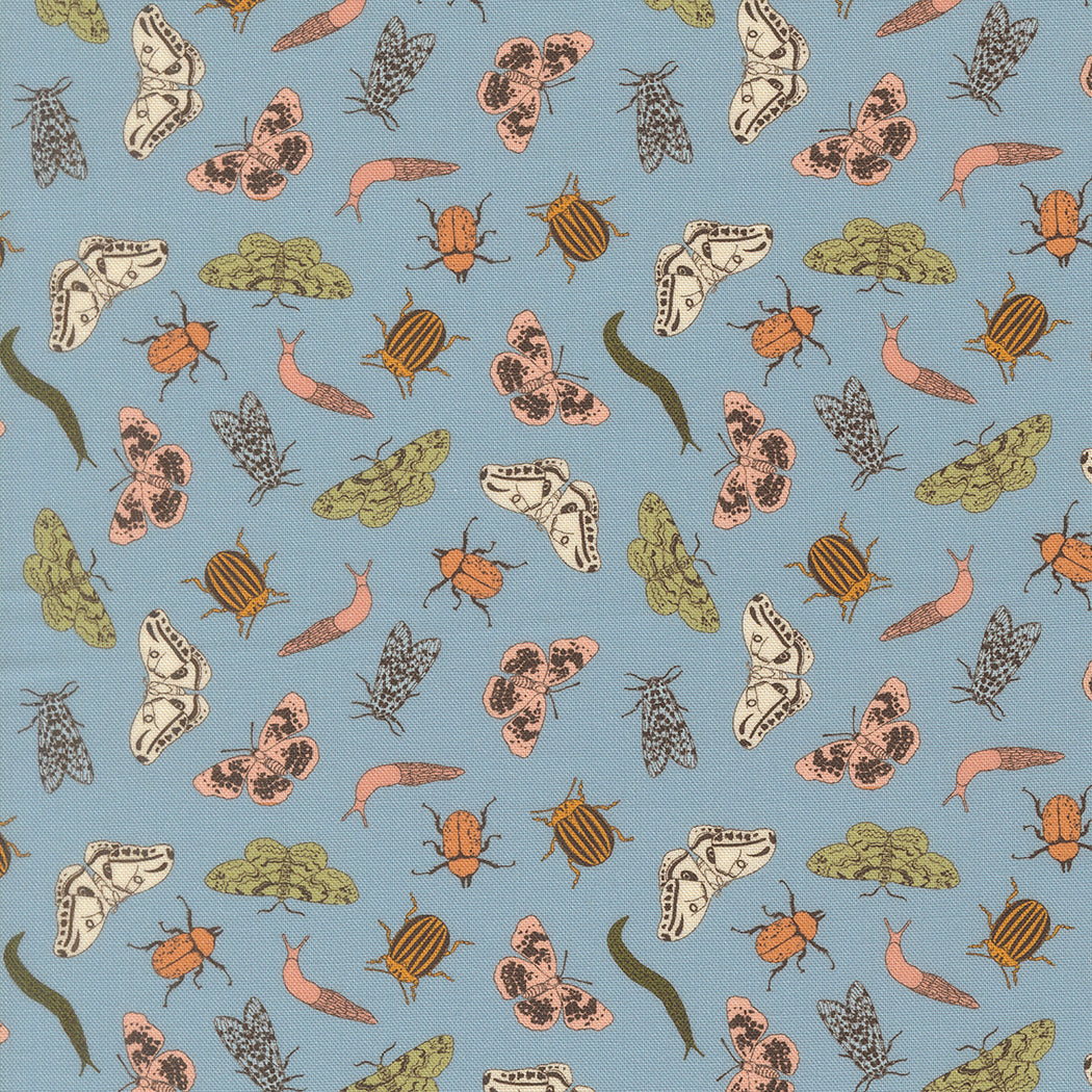 Petalush Wind Entomology Novelty Bugs Fabric – Kiley’s Quilt Room
