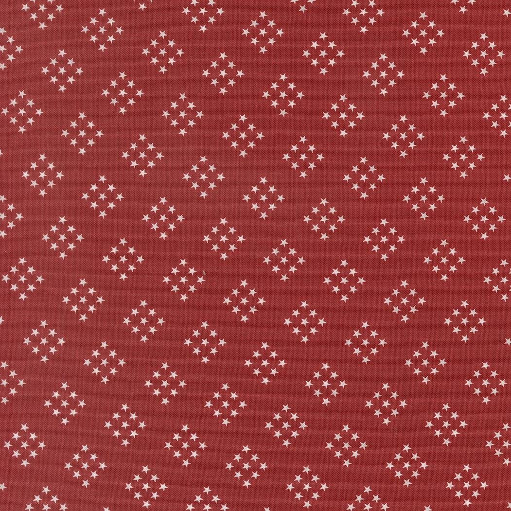 Independence Day Red Stars Blender