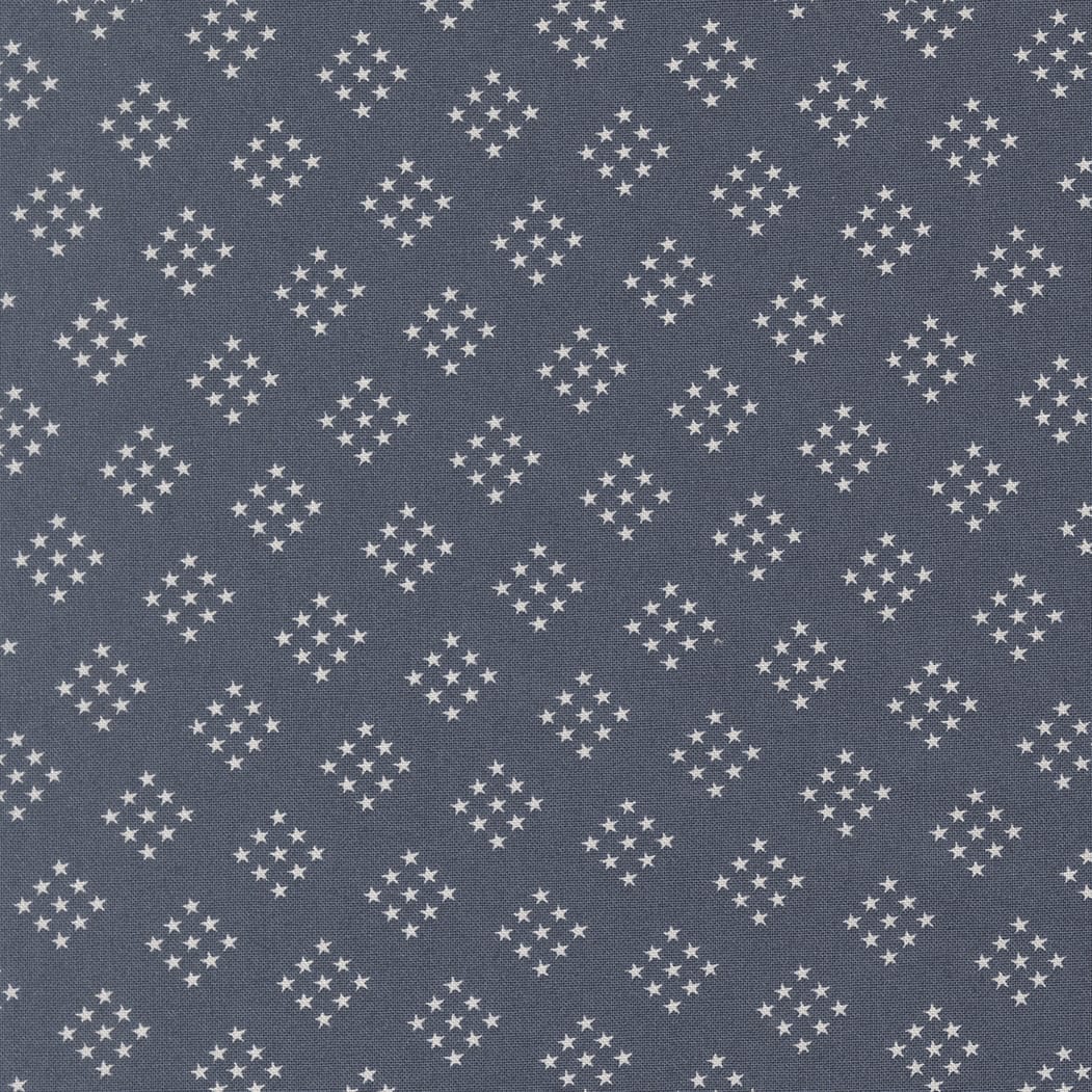 Independence Day Indigo Stars Blender
