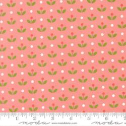 Bloomsberry Bloomsberry Floral fabric in Blush by Camille Roskelley for Moda Fabrics, SKU 55357 16.