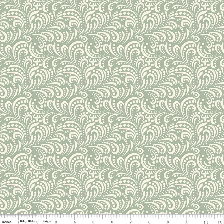 Morning Latte Swirls Aloe