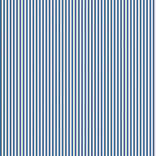 1/8" Stripe Denim