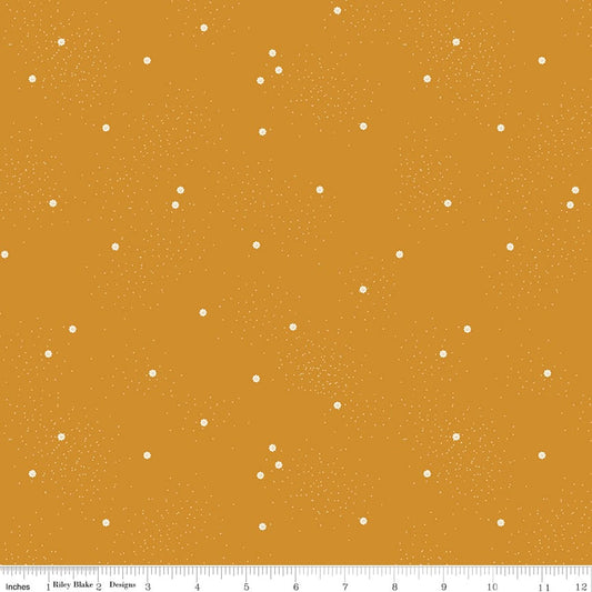 Dainty Daisy Butterscotch