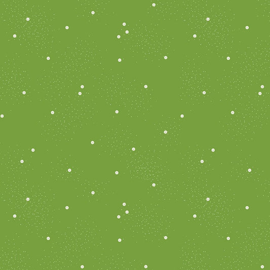 Dainty Daisy Holly