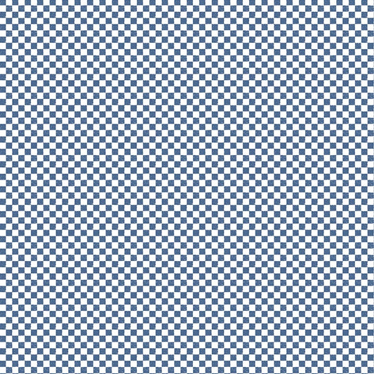 Check Please! 1/4" Check Denim
