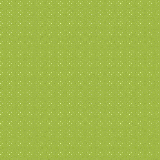 American Jane Pindots Lime