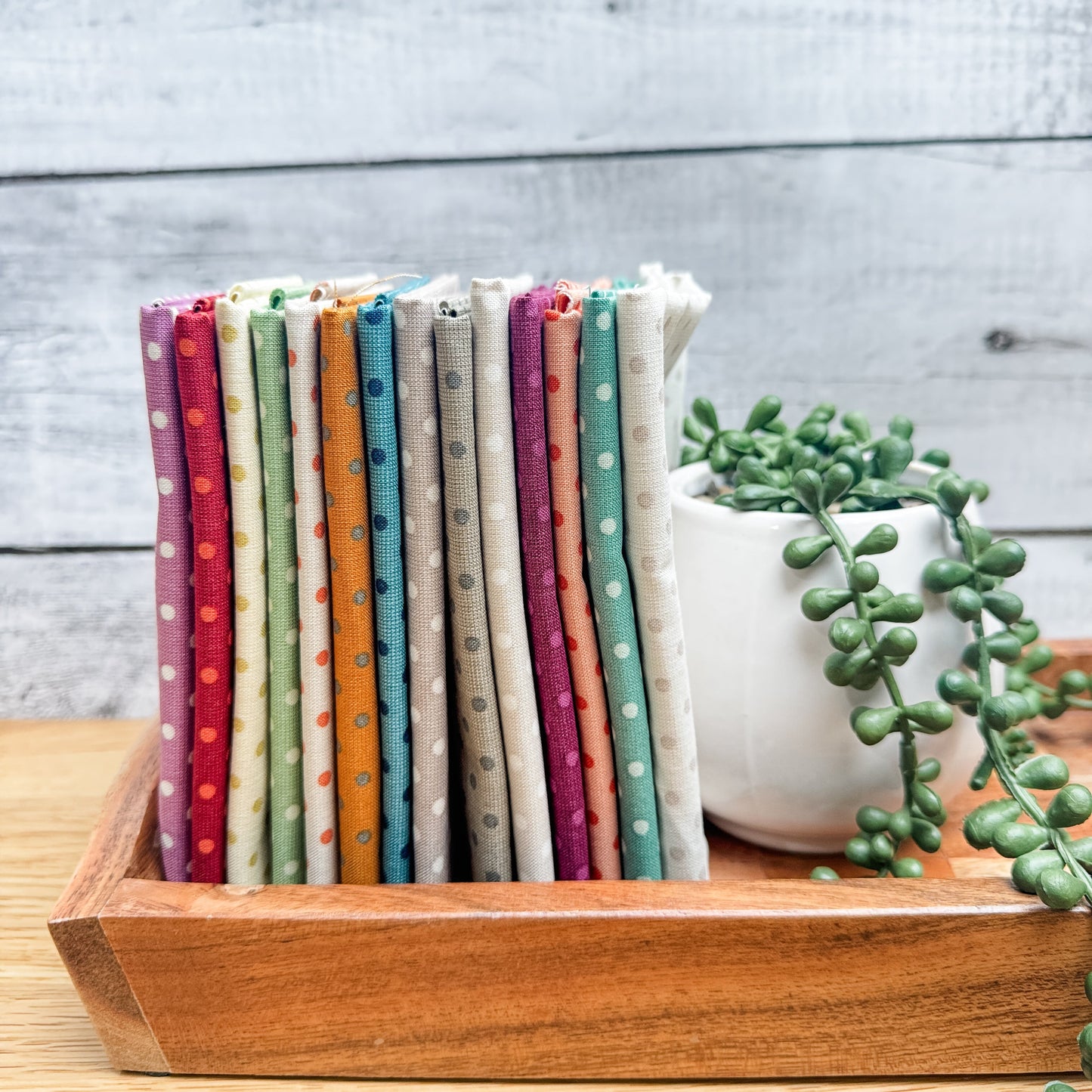 Fourteen Quiltessential Minis dot fat quarters standing on end on a tray beside an artificial plant.