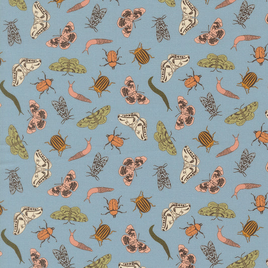 Petalush Wind Entomology Novelty Bugs Fabric – Kiley’s Quilt Room