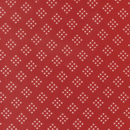 Independence Day Red Stars Blender