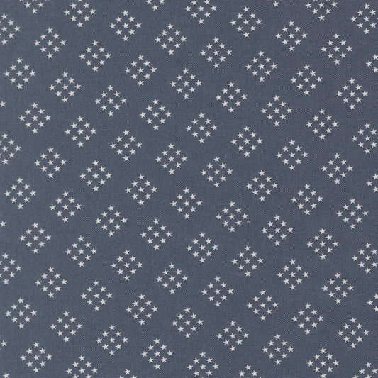 Independence Day Indigo Stars Blender