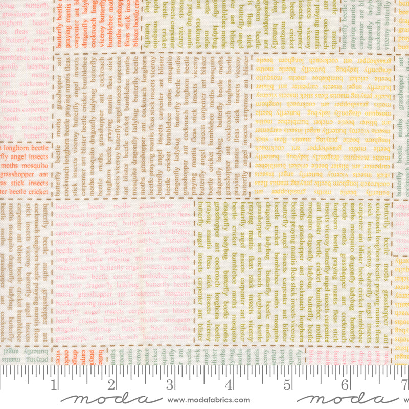 Bug Collector In The News multicolor print on Cloud, quilting fabric by Sweetwater for Moda Fabrics, 55730-11