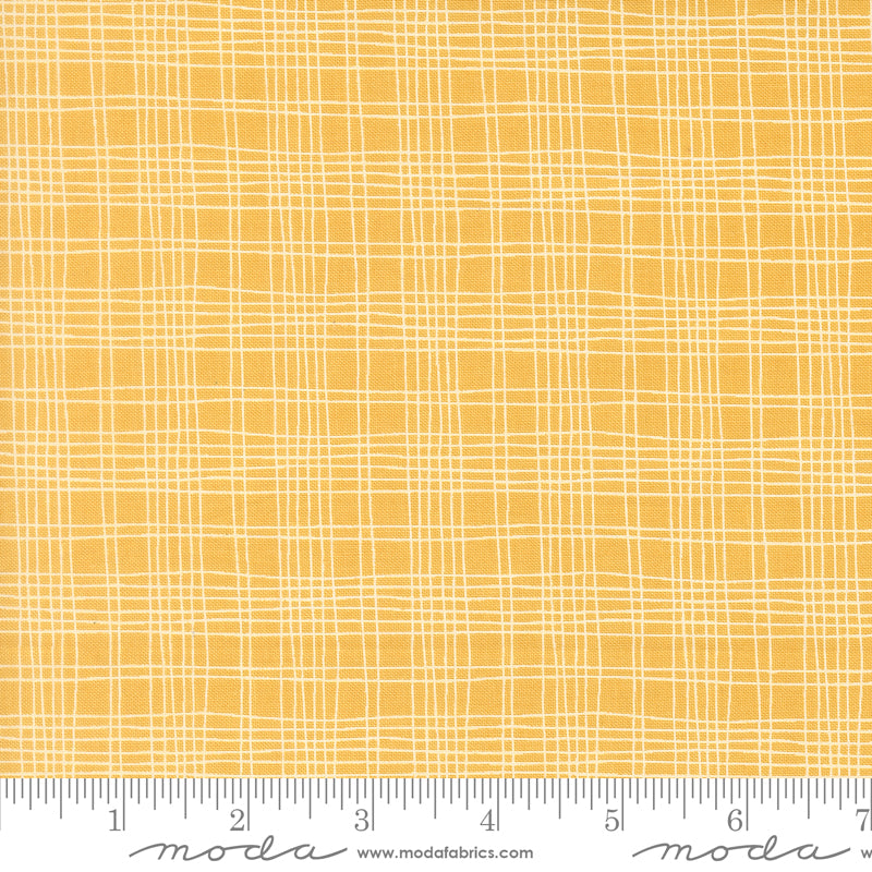 Bug Collector Plaid in Sunshine, quilting fabric by Sweetwater for Moda Fabrics, 55737-15