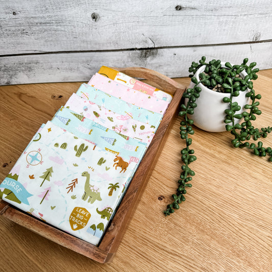 Six-piece Brave Your Way petite fat quarter bundle in Petal and Songbird pink and mint fabrics, by Cayla Naylor for Riley Blake Designs.