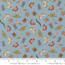 Petalush Wind Entomology Novelty Bugs Fabric – Kiley’s Quilt Room