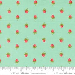 Bloomsberry Aqua Berries Novelty Strawberries Fabric – Camille Roskelley