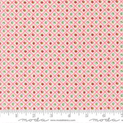 Bloomsberry Blush Checks and Plaids Fabric – Camille Roskelley