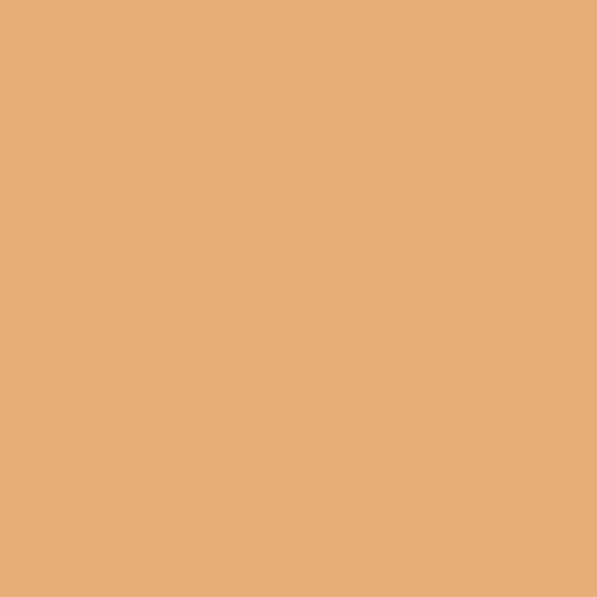 Confetti Cotton Solid Daisy
