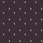 The Apothecary Night Sky Midnight