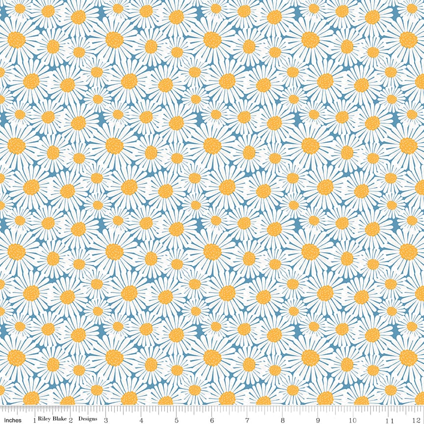 Sunshine & Dandelions Daisies Blue