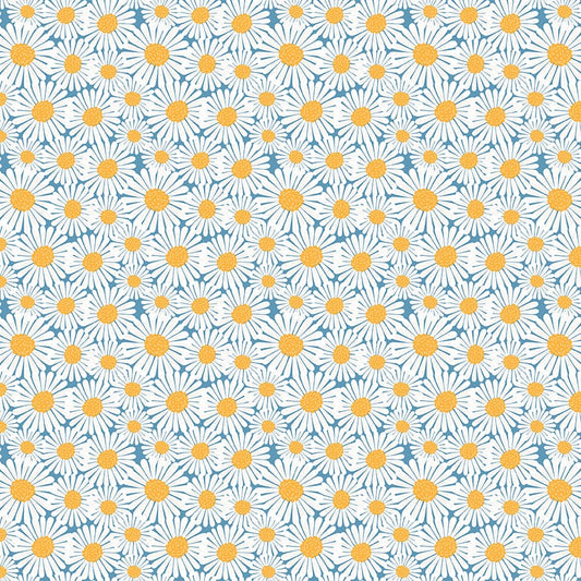 Sunshine & Dandelions Daisies Blue