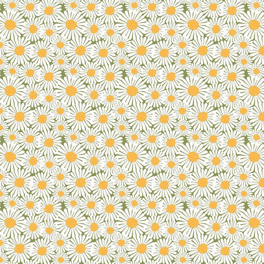 Sunshine & Dandelions Daisies Green