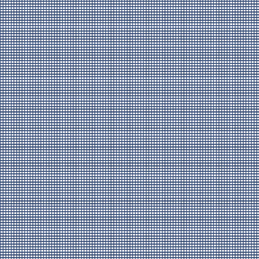Micro Gingham Denim