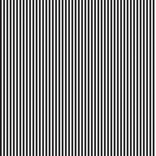 1/8" Stripe Black
