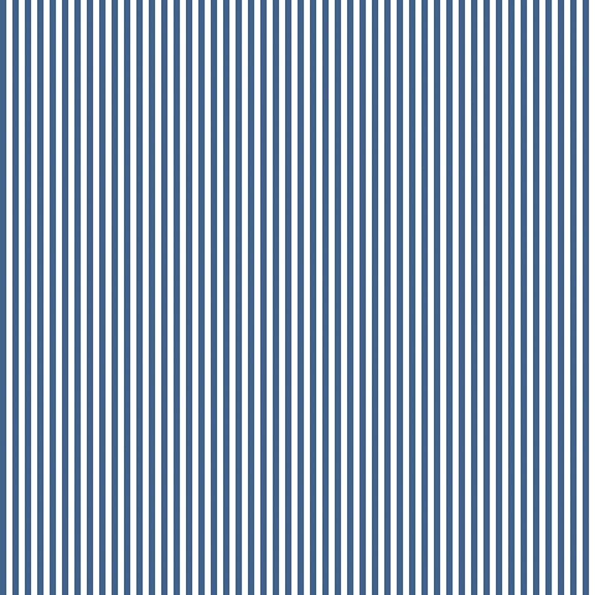 1/8" Stripe Denim