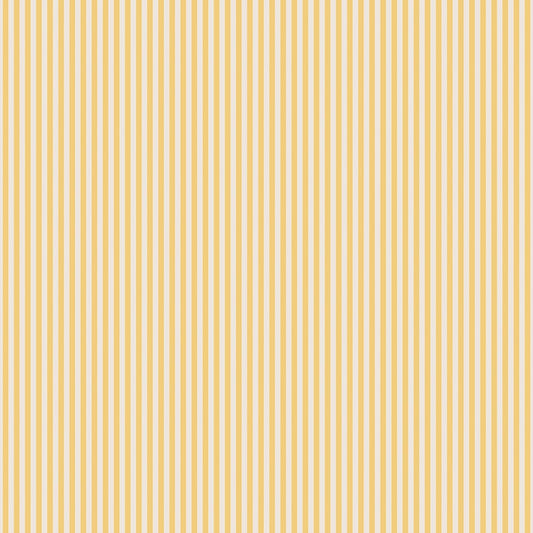 1/8" Stripe on Ivory Honey