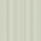 1/8" Stripe on Ivory Sage