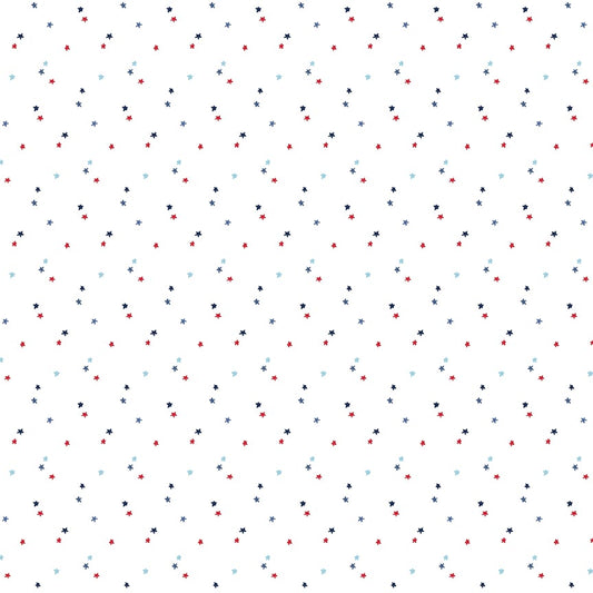 Seasonal Basics Stars White
