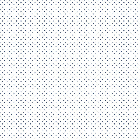 Swiss Dot On White Color Denim