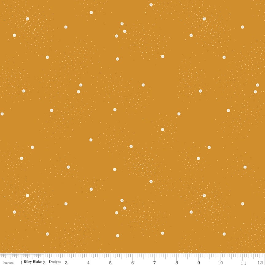 Dainty Daisy Butterscotch