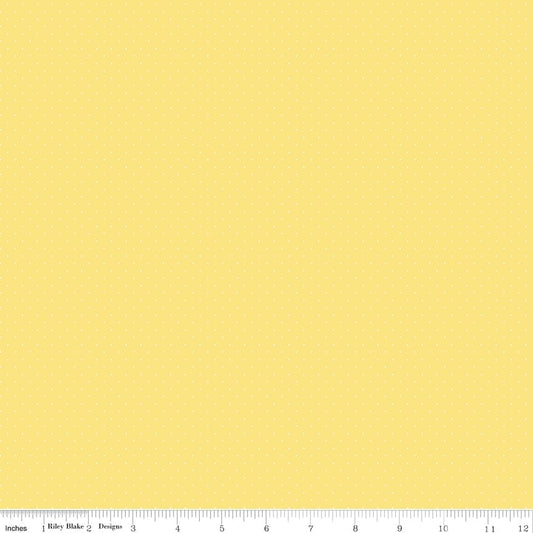 American Jane Pindots Canary