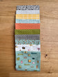 Bug Collector Sky petite fat quarter bundle, 10 fat quarters by Sweetwater for Moda Fabrics