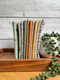 Bug Collector petite fat quarter bundle from the Sweetwater collection for Moda Fabrics, cut and bundled by Treeline Quilting