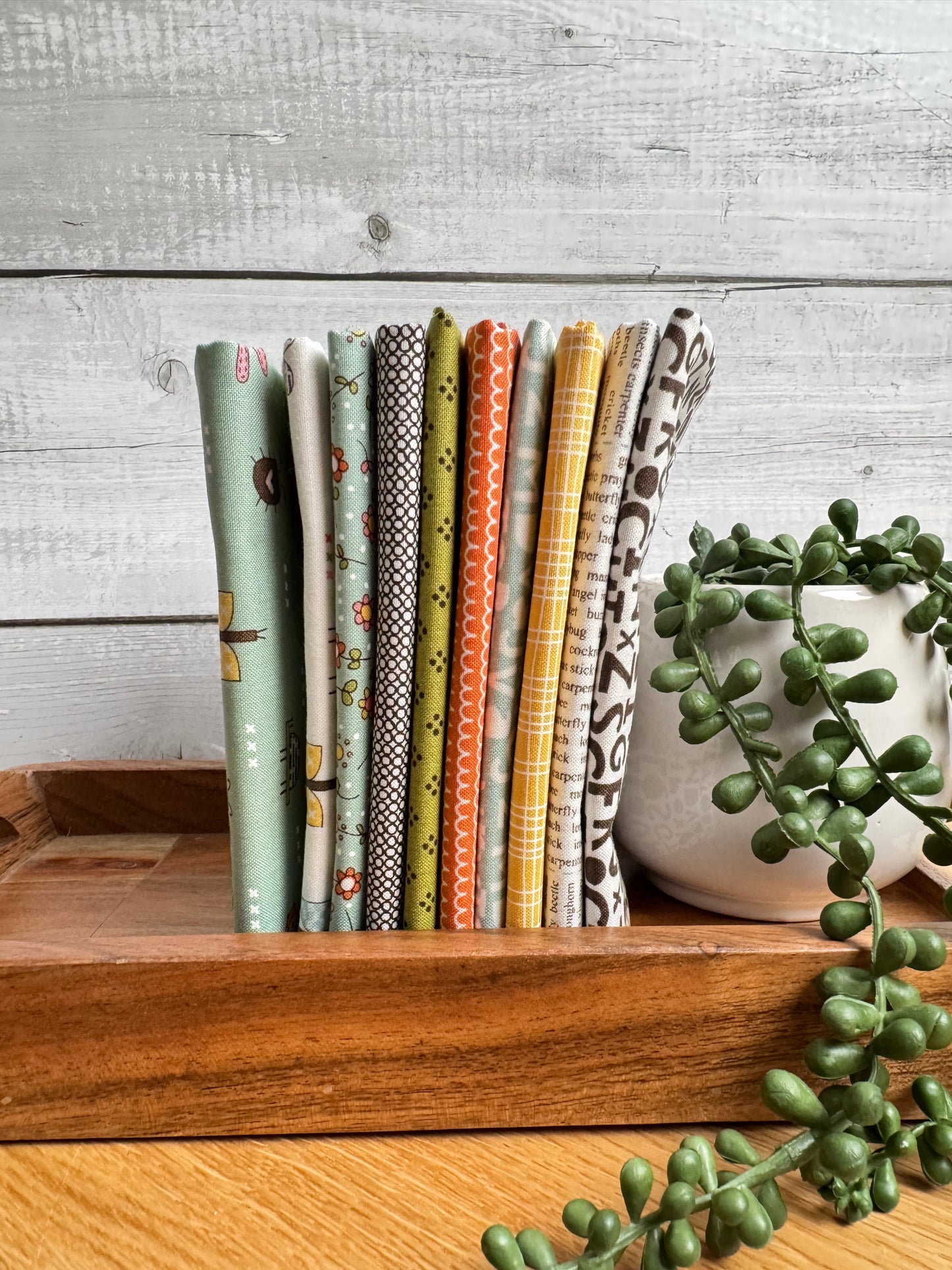 Bug Collector petite fat quarter bundle from the Sweetwater collection for Moda Fabrics, cut and bundled by Treeline Quilting