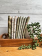 Green Hedgerow Haven petite fat quarter bundle standing on end on a wooden tray next to a plant