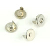 Sallie Tomato Magnetic Snaps 1/2in Nickel Set of Two
