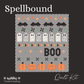 Spellbound quilt kit is a row quilt of bats, ghosts, and pumpkins featuring the Frank and Friends fabric by My Mind's Eye